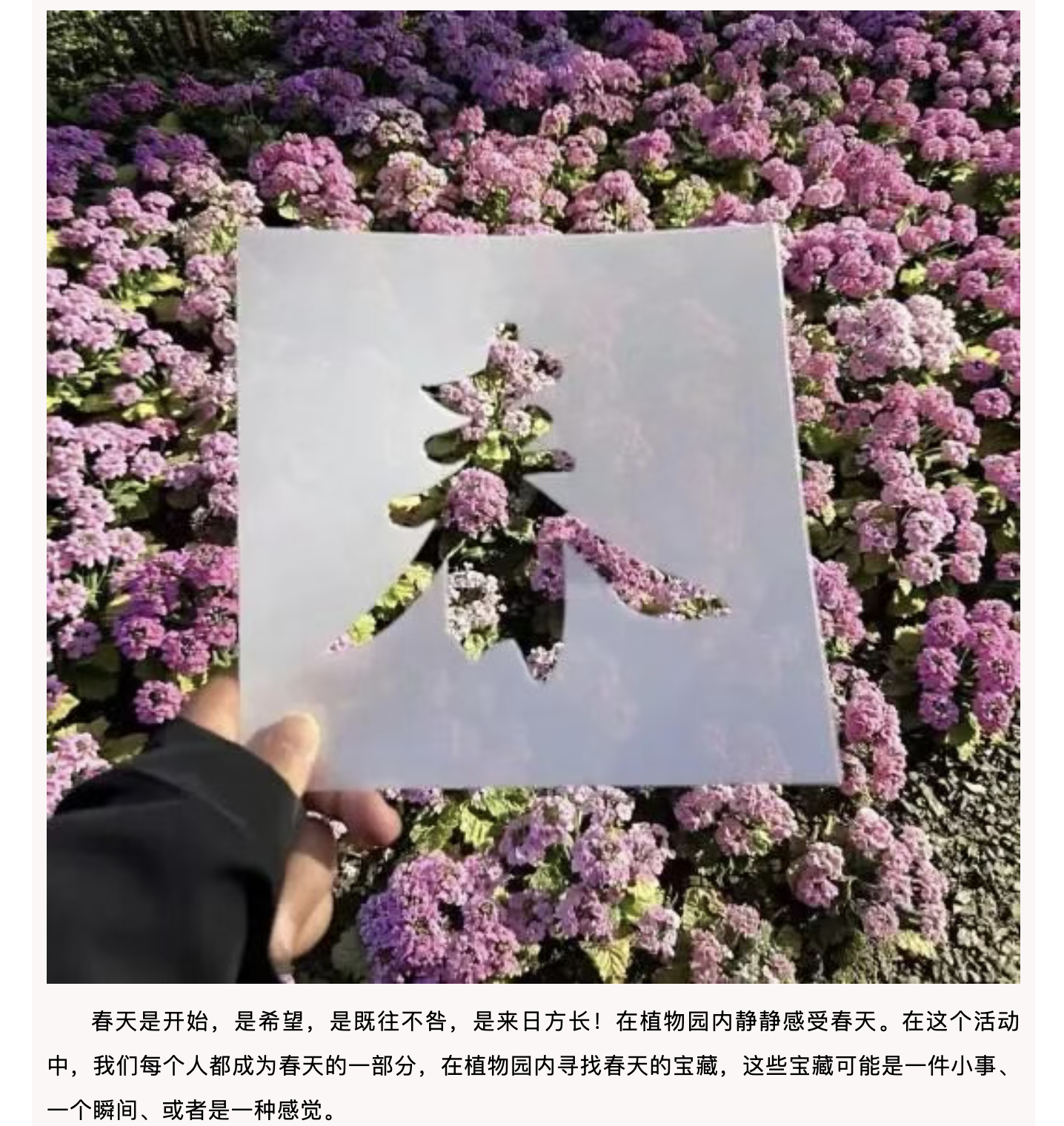 1070ab10de8642f6b6c03ff9ab843028.png